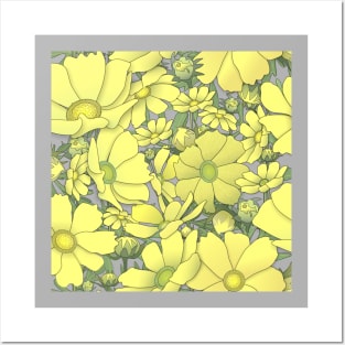 Tossed Yellow Cosmos Wildflowers on Soft Grey Posters and Art